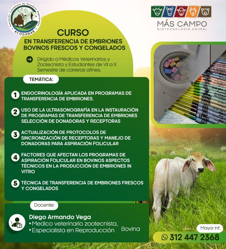Curso transferencia de embriones 1