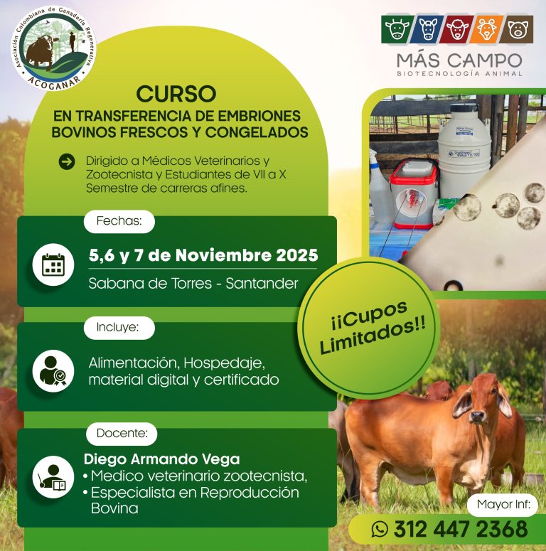 Curso transferencia de embriones 2