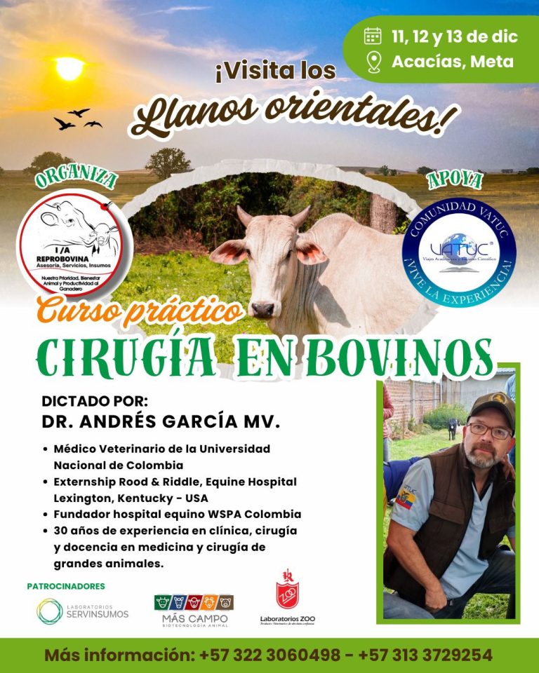 Imagen de WhatsApp 2025-10-09 a las 10.21.23_e4fe70e9