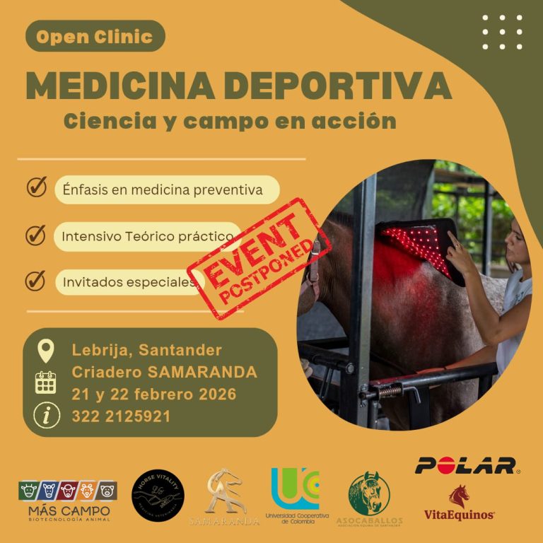 Nuevo curso