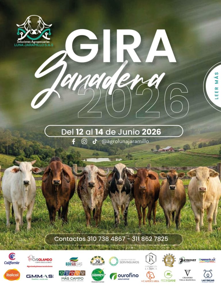 WhatsApp Image 2026-03-19 at 3.32.31 PM