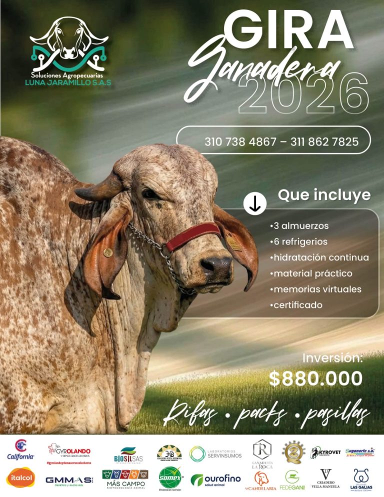 WhatsApp Image 2026-03-19 at 3.32.32 PM